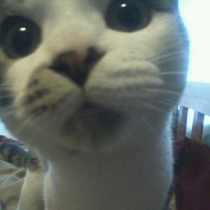 Meet your Posher, Heidi